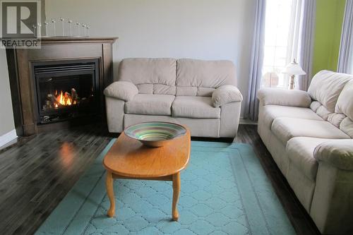 103 Main Road, St. Marys, NL - Indoor Photo Showing Living Room With Fireplace