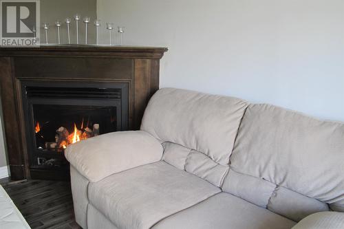 103 Main Road, St. Marys, NL - Indoor With Fireplace