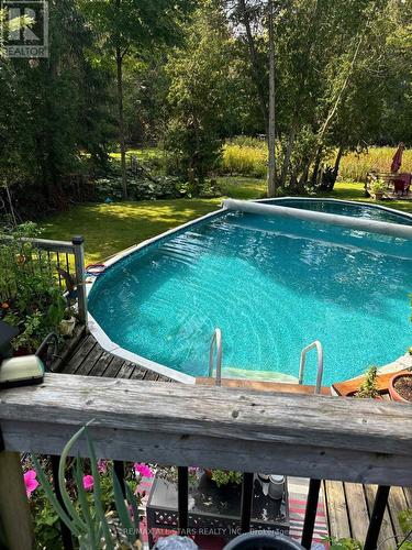 20 James Street, Georgina, ON - Outdoor With Above Ground Pool With Backyard