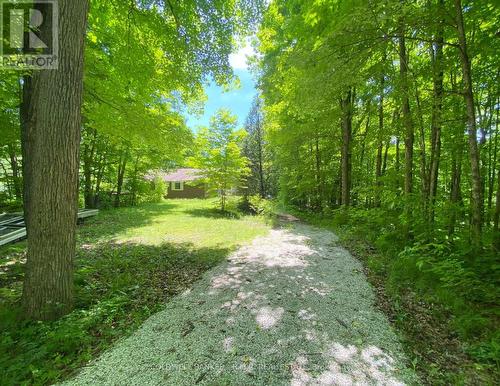 3493 Southwood Beach Boulevard, Ramara, ON - Outdoor