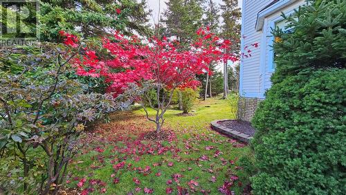 192 Buckingham Drive, Paradise, NL - Outdoor