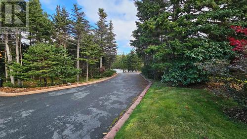 192 Buckingham Drive, Paradise, NL - Outdoor