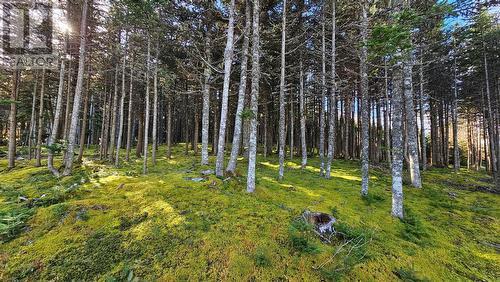 192 Buckingham Drive, Paradise, NL - Outdoor With View