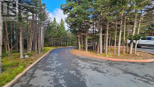 192 Buckingham Drive, Paradise, NL - Outdoor