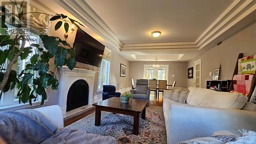 192 Buckingham Drive, Paradise, NL - Indoor Photo Showing Living Room