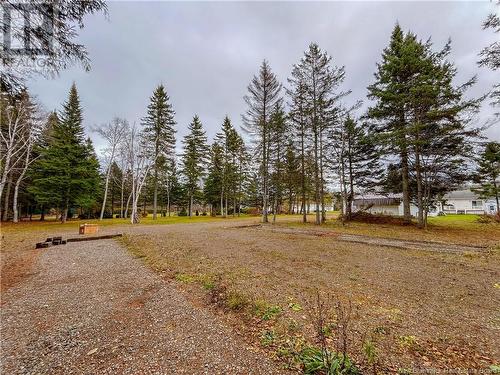 213 Des Pionniers, Balmoral, NB - Outdoor With View