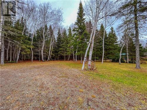 213 Des Pionniers, Balmoral, NB - Outdoor