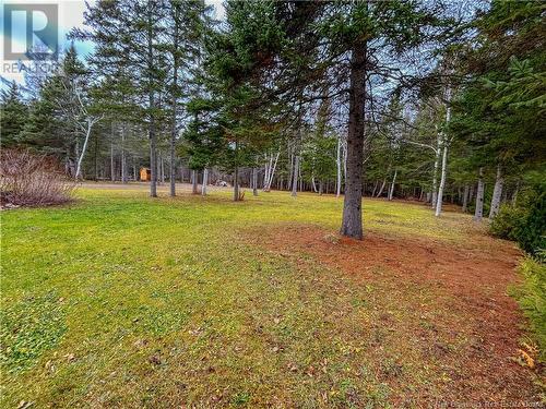 213 Des Pionniers, Balmoral, NB - Outdoor