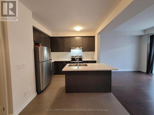 10 Stonehill Avenue, Kitchener, ON - Indoor Photo Showing Kitchen With Stainless Steel Kitchen With Double Sink