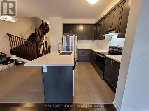 10 Stonehill Avenue, Kitchener, ON - Indoor Photo Showing Kitchen With Stainless Steel Kitchen With Double Sink