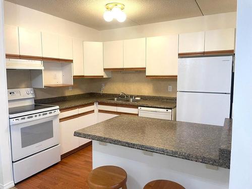 107 500 Toledo Street, Thunder Bay, ON - Indoor Photo Showing Kitchen With Double Sink