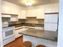 107 500 Toledo Street, Thunder Bay, ON  - Indoor Photo Showing Kitchen With Double Sink 