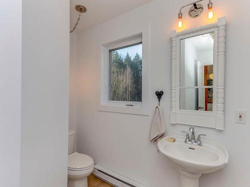 Powder room - 400 Ch. Élie, Sutton, QC - Indoor Photo Showing Bathroom