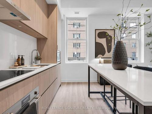 81 Shuter St, Toronto, ON - Indoor Photo Showing Kitchen With Upgraded Kitchen