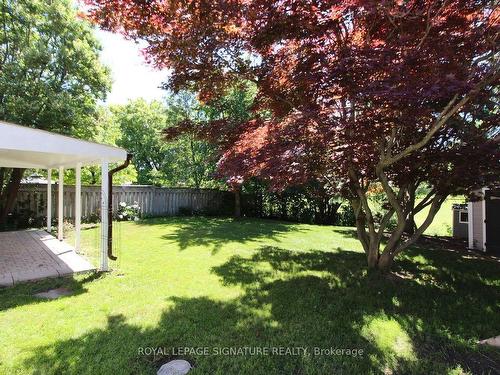 27 Cornwallis Dr, Toronto, ON - Outdoor With Backyard