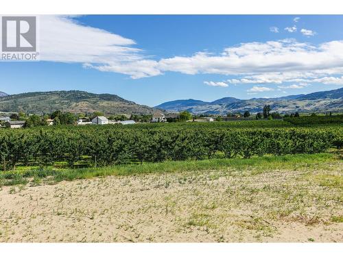 1234 Copper Road, Oliver, BC - Outdoor With View