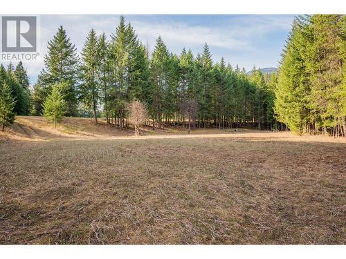 2621 3A Highway, Castlegar, BC - Outdoor With View