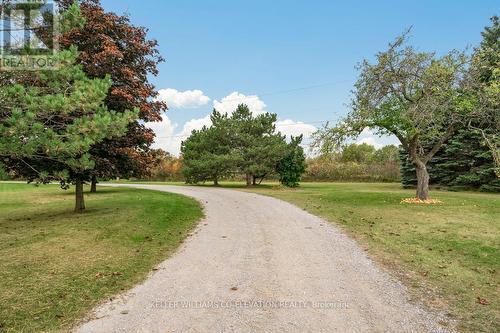 4060 10Th Side Road, Bradford West Gwillimbury, ON - Outdoor With View