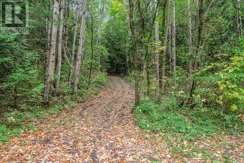 4060 10Th Side Road, Bradford West Gwillimbury, ON - Outdoor