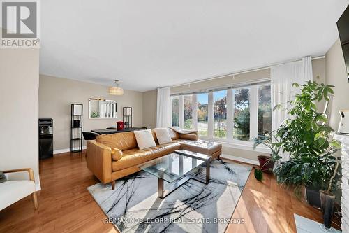 Upper - 4230 Bloor Street W, Toronto, ON - Indoor Photo Showing Living Room