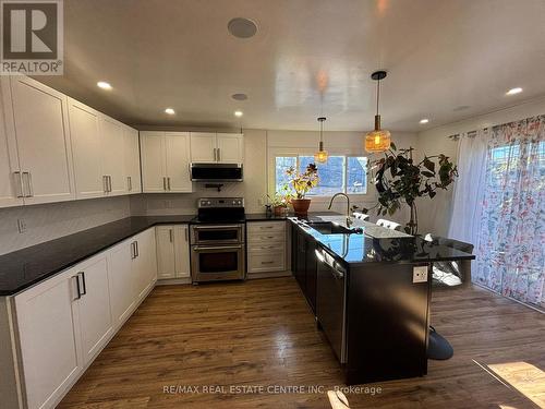 153 Elgin Street, London, ON - Indoor Photo Showing Kitchen With Upgraded Kitchen