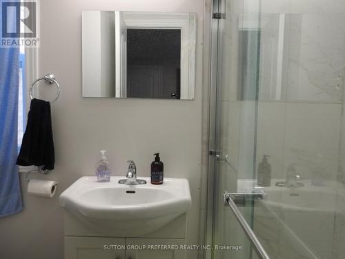 73 Hope Street E, East Zorra-Tavistock, ON - Indoor Photo Showing Bathroom