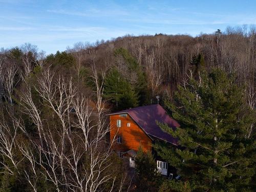 Aerial photo - 121 Ch. Du Marquis, Chute-Saint-Philippe, QC - Outdoor With View