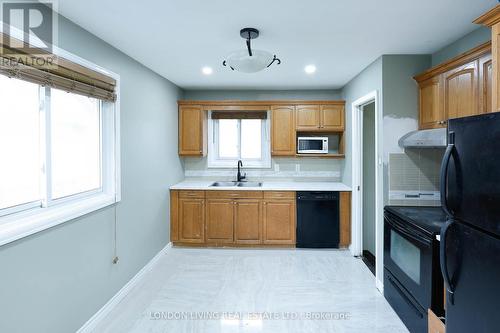 89 Alayne Crescent, London, ON - Indoor Photo Showing Kitchen With Double Sink