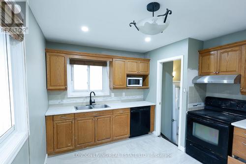 89 Alayne Crescent, London, ON - Indoor Photo Showing Kitchen With Double Sink