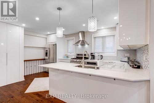 223 Weldrick Road W, Richmond Hill, ON - Indoor Photo Showing Kitchen With Upgraded Kitchen