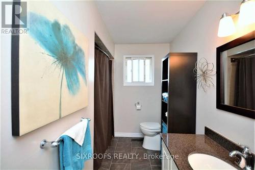 219 Walnut Crescent, Barrie, ON - Indoor Photo Showing Bathroom