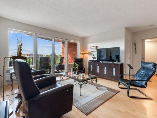 Salon - 517-3045 Boul. Notre-Dame, Laval (Chomedey), QC - Indoor Photo Showing Living Room