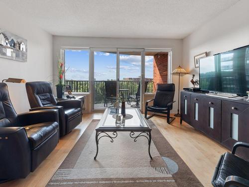 Salon - 517-3045 Boul. Notre-Dame, Laval (Chomedey), QC - Indoor Photo Showing Living Room