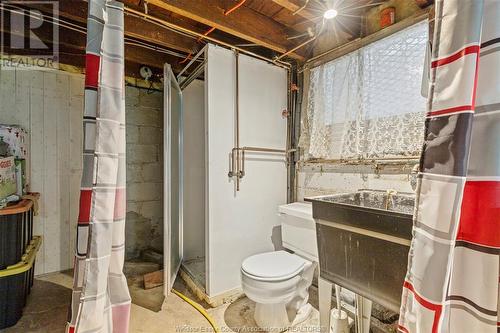 1349 Moy Avenue, Windsor, ON - Indoor Photo Showing Basement