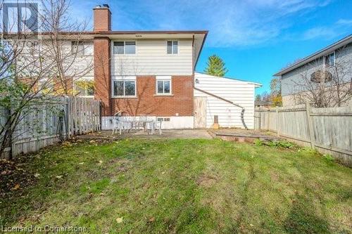 Back of house featuring a patio and a lawn - 175 Cedarbrae Avenue, Waterloo, ON - Outdoor