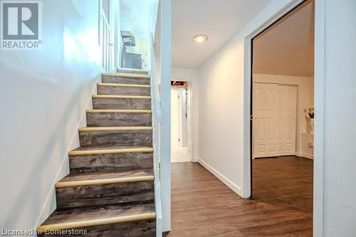 Stairs with wood-type flooring - 175 Cedarbrae Avenue, Waterloo, ON - Indoor Photo Showing Other Room