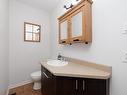 Powder room - 24 Rue Wilfrid-Lalonde, Rigaud, QC  - Indoor Photo Showing Bathroom 