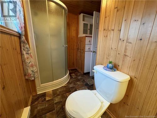 51 O'Regan Street, Grand-Sault/Grand Falls, NB - Indoor Photo Showing Bathroom