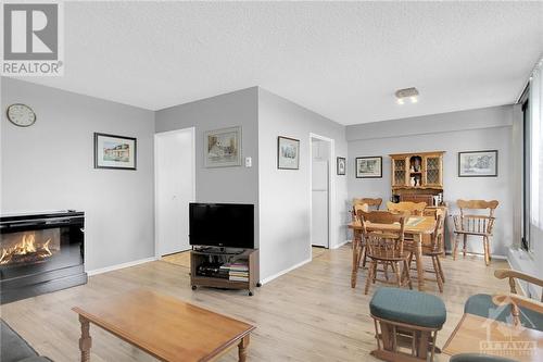 3360 Southgate Road Unit#1604, Ottawa, ON - Indoor Photo Showing Living Room With Fireplace