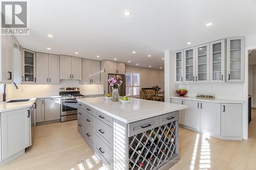 67 Rosanna Crescent, Vaughan, ON - Indoor Photo Showing Kitchen With Upgraded Kitchen