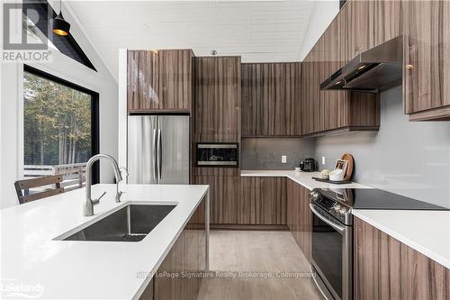 415040 10Th Line, Blue Mountains, ON - Indoor Photo Showing Kitchen With Double Sink With Upgraded Kitchen