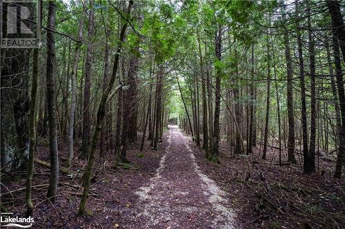 415040 10Th Line, Blue Mountains, ON - Outdoor With View