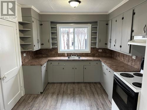 5 Elizabeth Street, Grand Falls-Windsor, NL - Indoor Photo Showing Kitchen With Double Sink