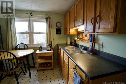 201 Hawthorne Avenue, Saint John, NB - Indoor Photo Showing Kitchen With Double Sink