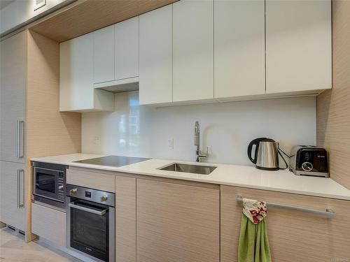 219-530 Michigan St, Victoria, BC - Indoor Photo Showing Kitchen