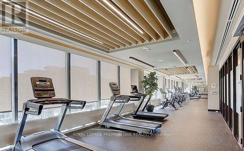 602 - 10 Honeycrisp Crescent, Vaughan, ON - Indoor Photo Showing Gym Room