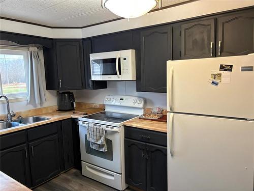 275 Alice Avenue, Miniota, MB - Indoor Photo Showing Kitchen With Double Sink