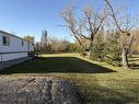 275 Alice Avenue, Miniota, MB  - Outdoor 