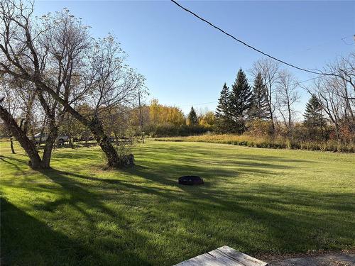 275 Alice Avenue, Miniota, MB - Outdoor With View