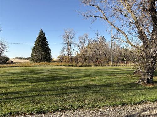 275 Alice Avenue, Miniota, MB - Outdoor With View